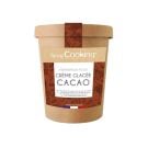 Préparations pour glace