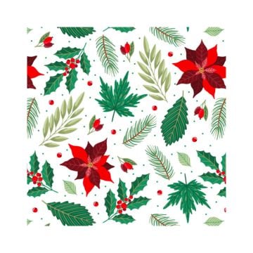 Kartons zu 4 Cupcakes - Etoiles von noel