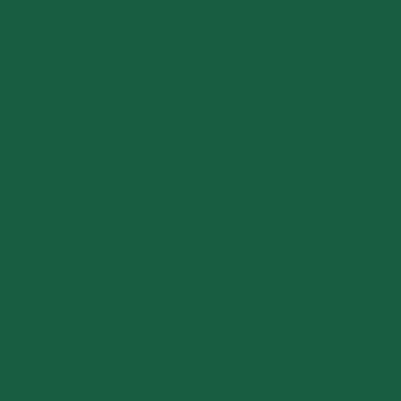 Serviettes Vert foncé 33x33cm 3 plis (20pcs)