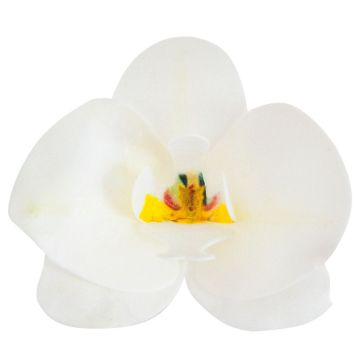 Essbare Deko - Weiße Orchideen 8.5cmx7.5cm (10St.)