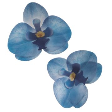 Décos comestibles - Orchidee Bleu (10pcs)