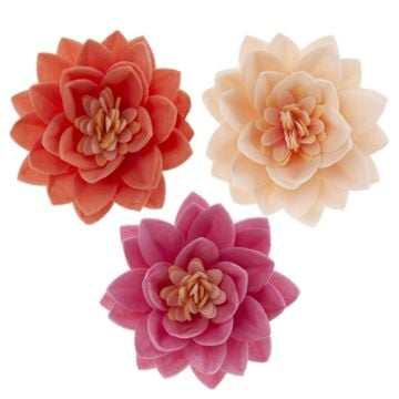Bluemen de Lotus en Hostie assorties (15pcs)