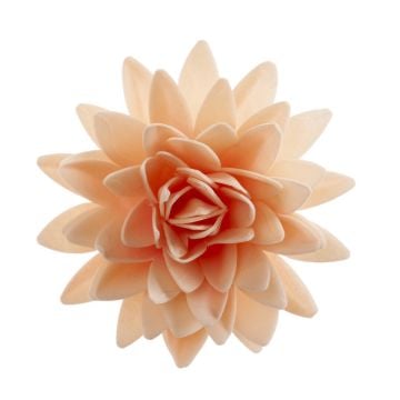 Fleurs Etoile Pêche Ø12.5cm