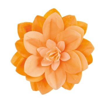Blume Nénuphar orange Ø14cm