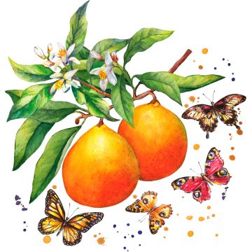 Serviettes Fruity Butterflies 33x33cm 3 plis (20pcs)