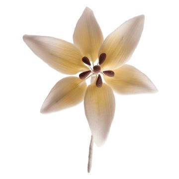 Déco en sucre (non comestible) - Orchidée Blanche (20pcs)