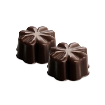 Silikonform für Schokolade - Fleury