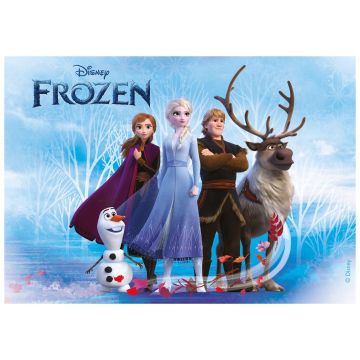 Essbare Dekoration Rechteck - Frozen 2 (14x21 cm)