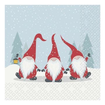 Serviettes - Gnomes (20pcs)