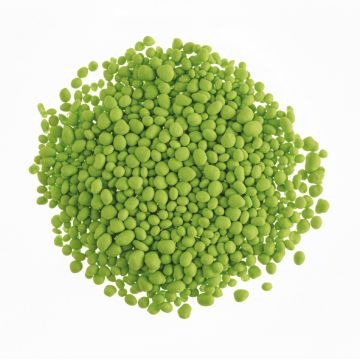 Dekocrunchies - Saveur Pistache