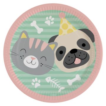 Teller - Hund und Katze (8 Stück)