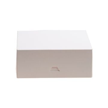 Kuchenbox Weiss 20x20x8