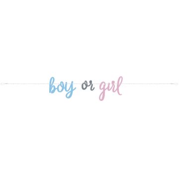 Boy or Girl Garland (2m)