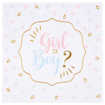 Serviettes Girl or Boy (20 pcs)