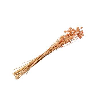 Bouquet of dried pink thistles (70cm)