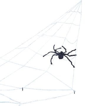 Spinne und Riesenspinnennetz