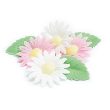 Unleavened decorations - Daisies and leaves (12pcs) 