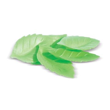 Grüne Blätter in Esspapier (24Stk)