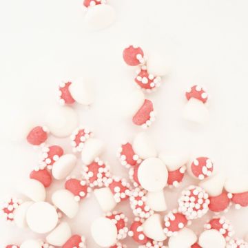 Décorations en sucre - Mini champignons