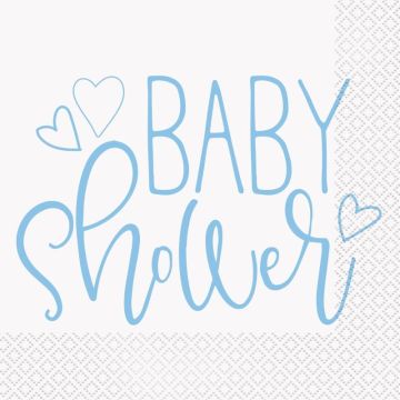 Baby Shower Blau (16 Stück)
